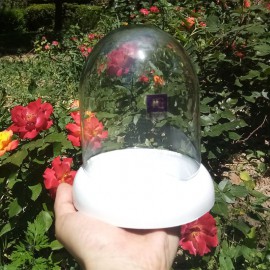 گلدان شیشه ای فلکسی کوچک 