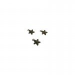 خرج کار ستاره دریایی در بسته‌های 10 تایی