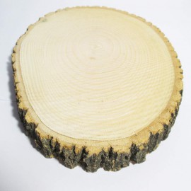 چوب تنه درخت با قطر 15 سانتی 