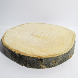 چوب تنه درخت با قطر 12 سانتی 