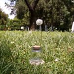 جارشیشه ای کوچک 40 سی سی با درب چوب پنبه‌ای فروش عمده و تکی