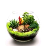تنگ شیشه‌ای 9 سانتی فروش اینترنتی