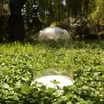 گلدان شیشه‌ای فلکسی 15 سانتی کیفیت درجه دو با کفی پلاستیکی فروش اینترنتی