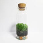 بطری شیشه‌ای استوانه ای بلند کاربردی