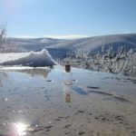 بطری شیشه ای کوچک مدل بند انگشتی جذاب