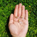 مینی بطری 2 سانتی باکیفیت عالی درجه یک