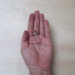 بطری شیشه ای فانتزی مدل کوچک طرح بند انگشتی فروش اینترنتی ارسال به سراسر کشور