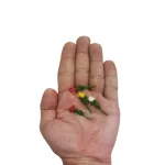 گلهای رُز مصنوعی کوچک بسته 4 عددی - تصویر 4