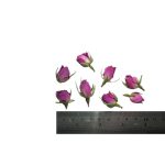 غنچه های رُز خشک در بسته های 20 گرمی برای ساخت گیفت تزئینی و دکوری