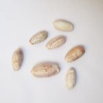 صدف طبیعی پسته‌ای: زیورآلات و دکوراسیون با الهام از طبیعت - Image 2
