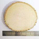 چوب تنه درخت با قطر 15 سانتی‌متر - مناسب برای صنایع دستی و دکوراسیون - Image 2