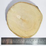 چوب تنه درخت با قطر 12 سانتیمتر - مناسب برای دکوراسیون و صنایع دستی - Image 2