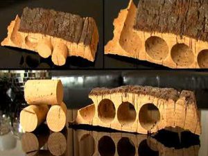 چوب پنبه طبیعی