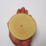 چوب دایرهای تنه درخت 11 سانتیمتری باکیفیت و قیمت مناسب