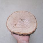 چوب دایره‌ای تنه درخت 20 سانتیمتری ارسال به سراسر کشور