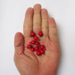خرج کار انار کوچک مناس آویز دستبند و گردنبند