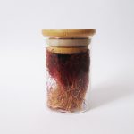 جار شیشه ای ادویه 55 میل بادرب چوبی با گنجایش یک مثقال زعفران