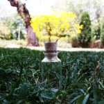 بطری شیشه ای 5 سانتیمتری با درب چوب پنبه طبیعی ویال خام 15 میل