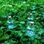 مینی بطری توپی با درب چوب پنبه ای طرح فانتزی محبوب