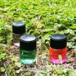 بطری شیشه ای کوچک 5 میل بادرب پیچی بادرب باکیفیت و بادوام
